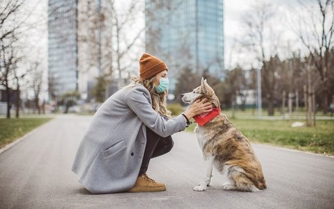Point de vue HSE du covid-19