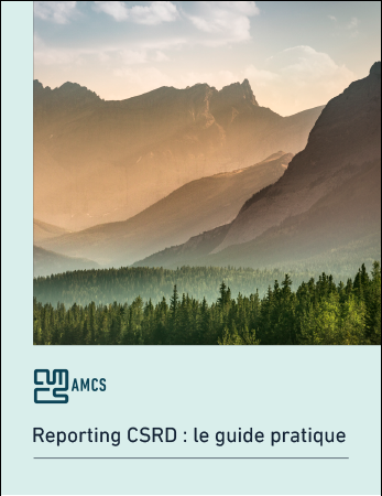 guide csrd